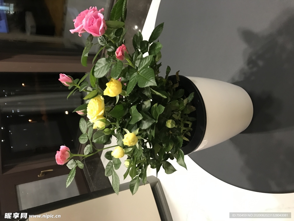 花开富贵