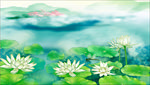 水彩绘荷花背景