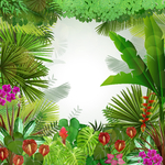 植物