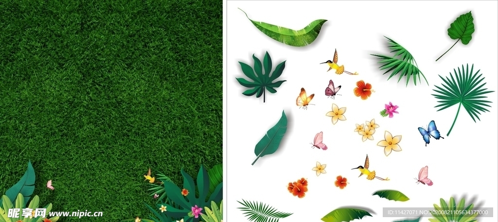 绿植花草