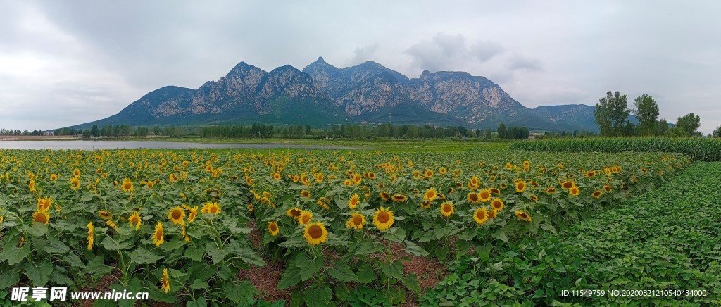 嵩山 少室山全景