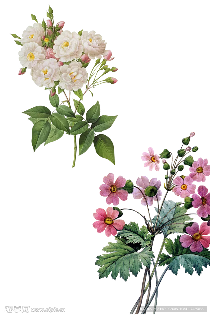 花束