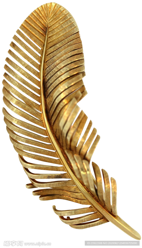金色质感叶子png
