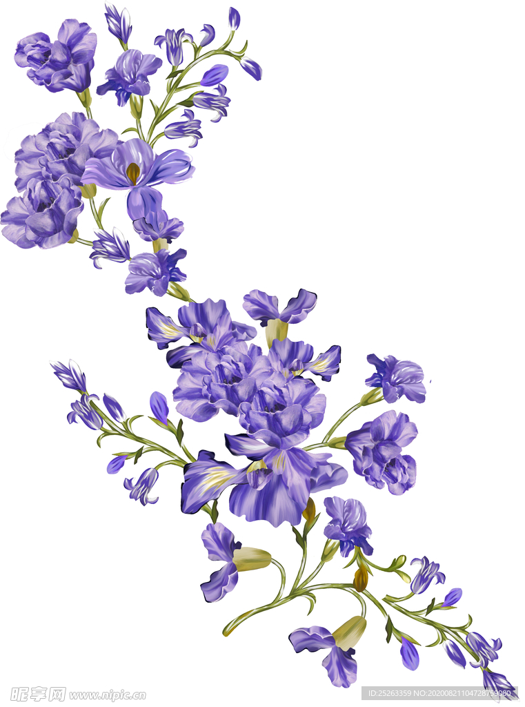 手绘紫色花朵