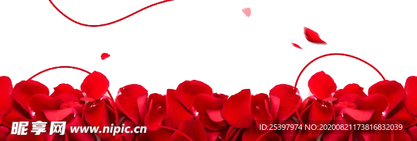 玫瑰花瓣