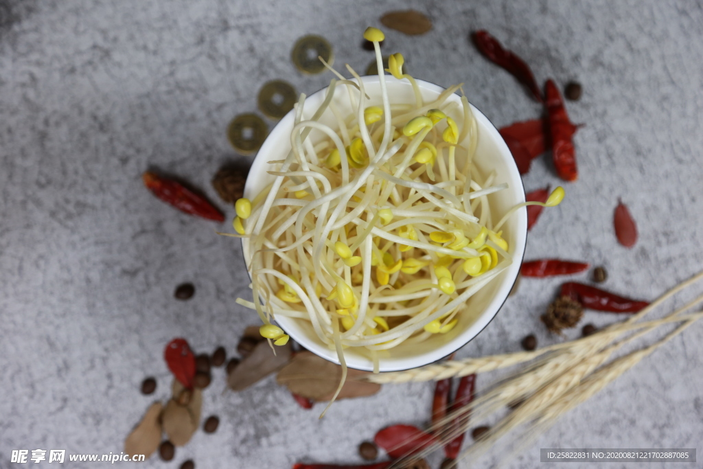 豆芽