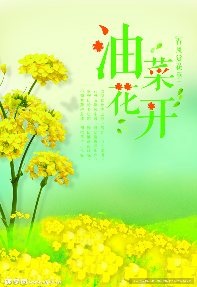 油菜花旅游海报
