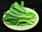 广东菜心