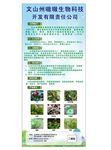 药材展架