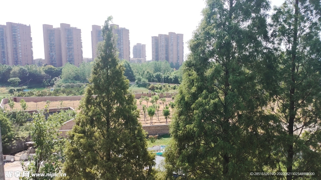 风景