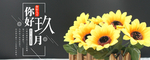 九月你好