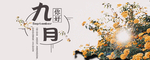 九月你好