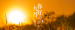 九月你好