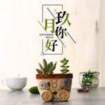 九月你好