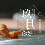 九月你好