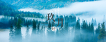 九月你好