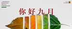 九月你好