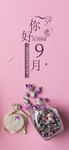 九月你好