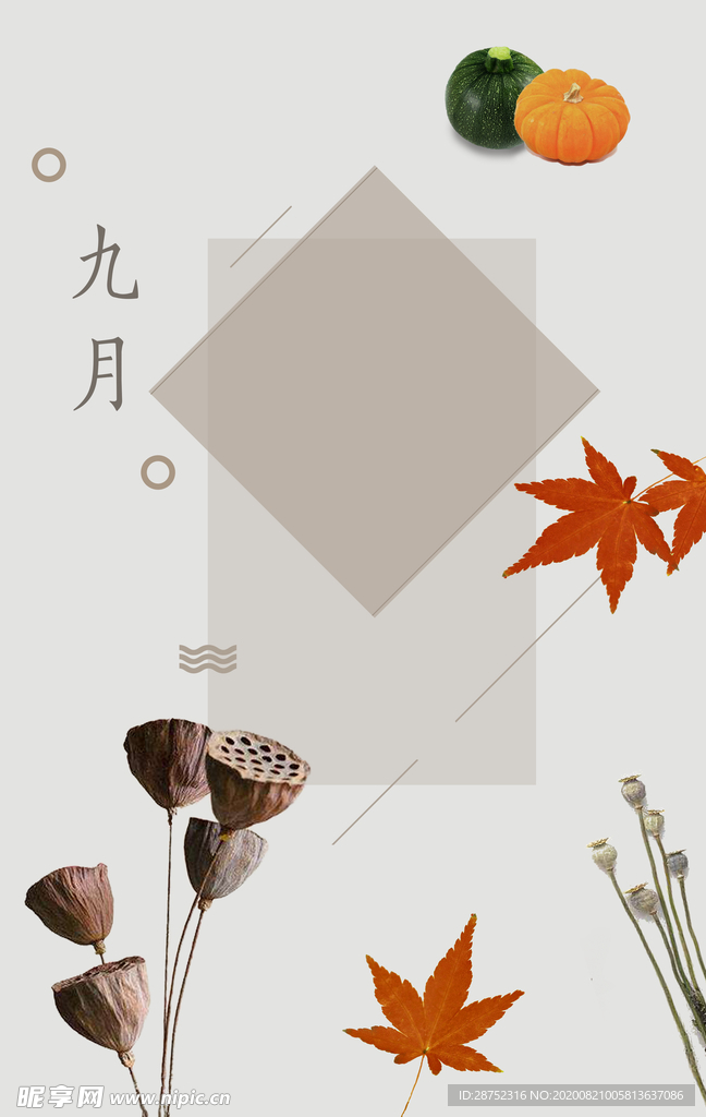 九月你好