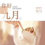 九月你好