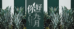 九月你好