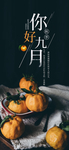 九月你好