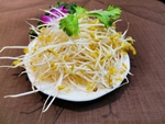 豆芽
