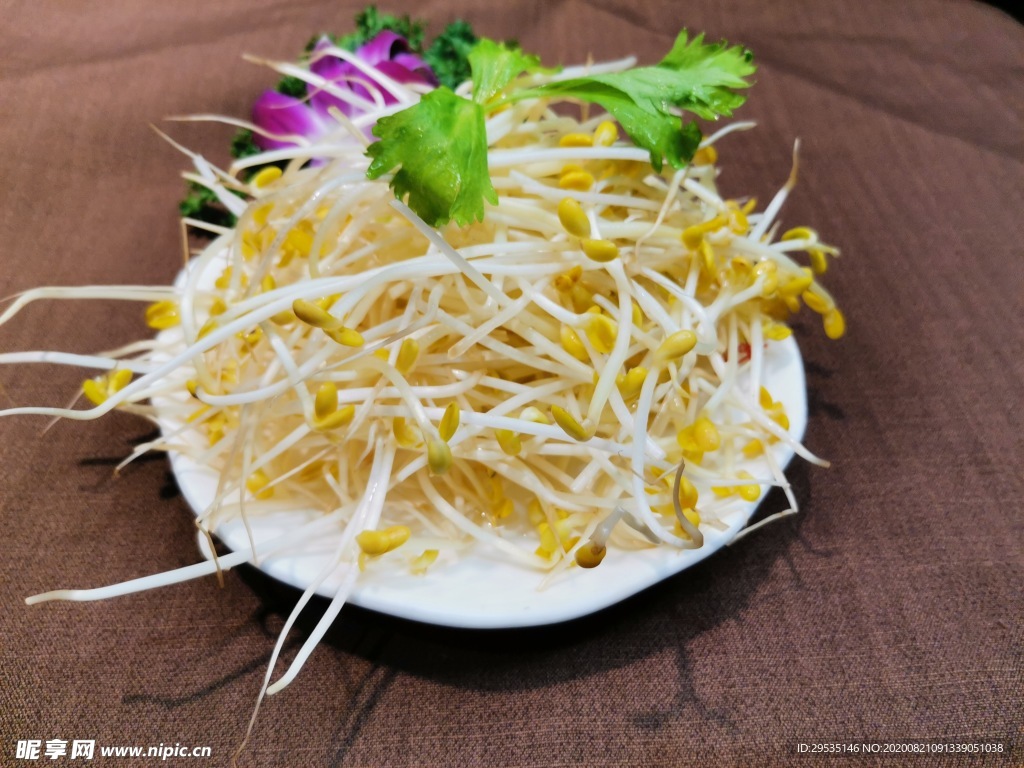 豆芽