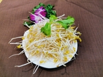 豆芽