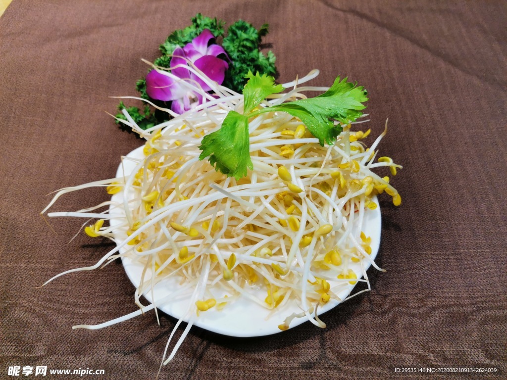 豆芽