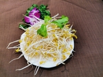 豆芽