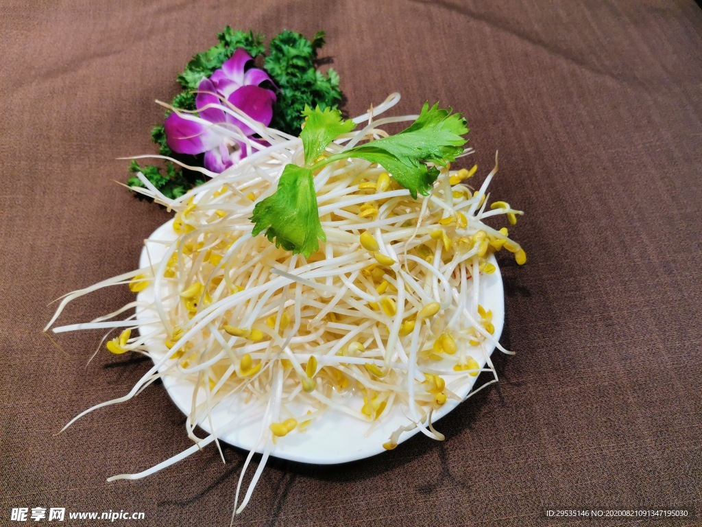 豆芽