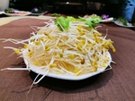 豆芽