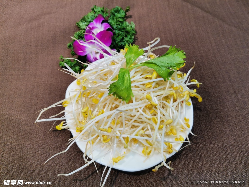 豆芽