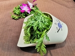 茼蒿