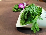 茼蒿