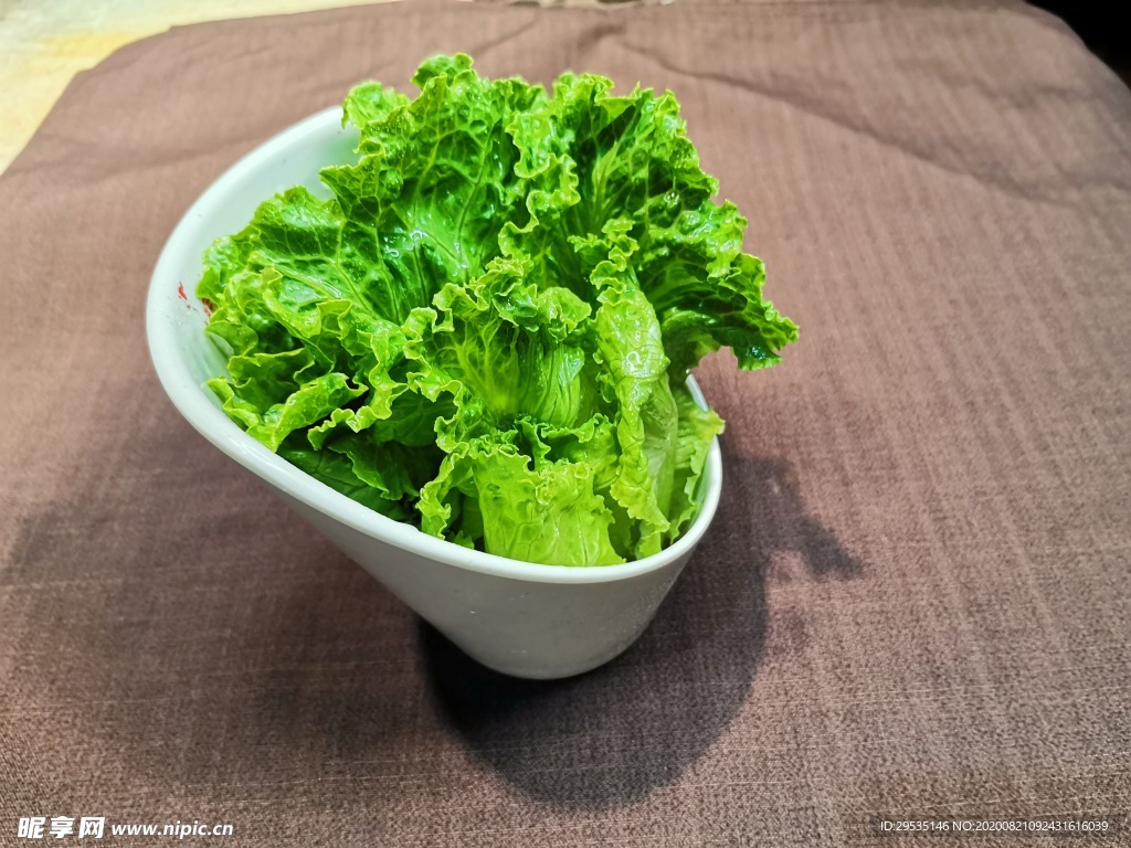 生菜