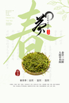 春茶茶叶宣传海报素材