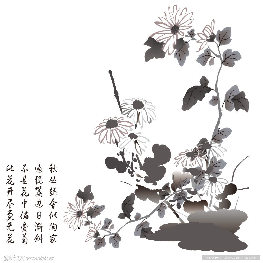 水墨菊花