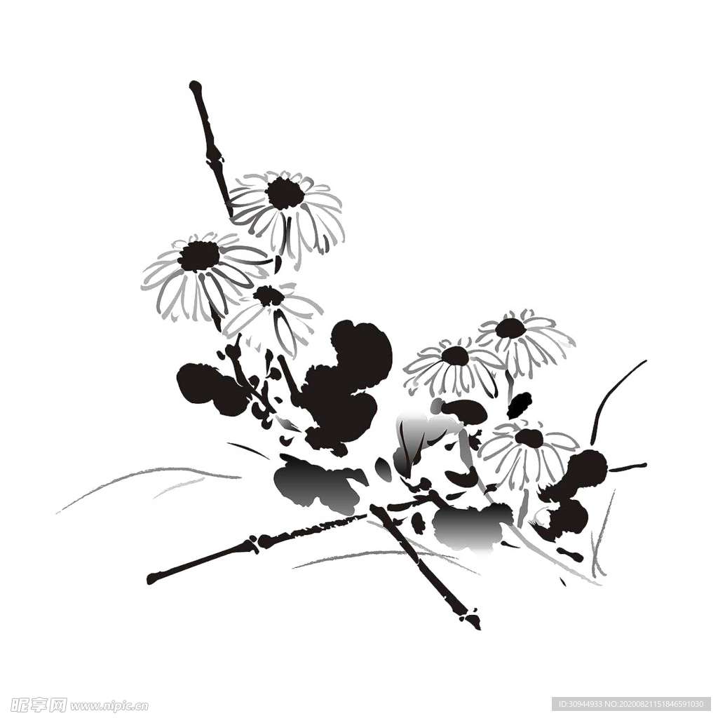 水墨菊花