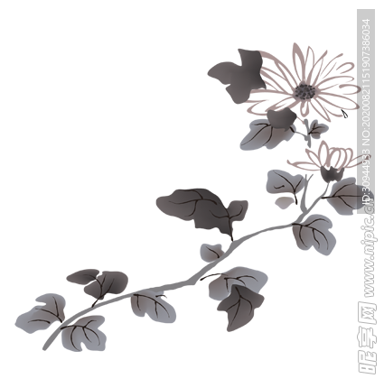 菊花装饰