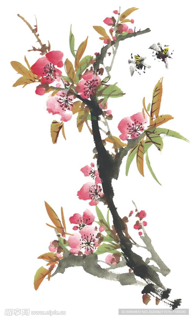 菊花装饰