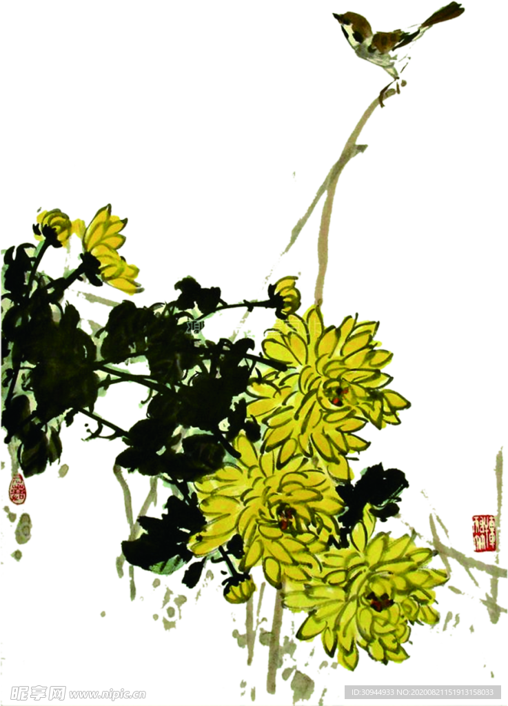 菊花装饰