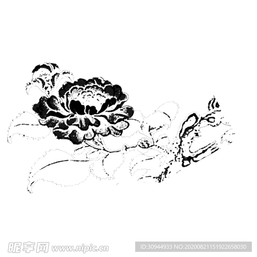 菊花装饰
