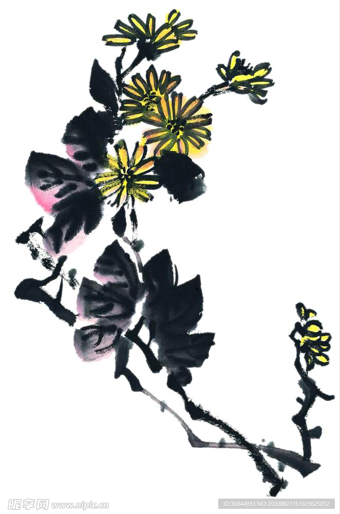 菊花装饰