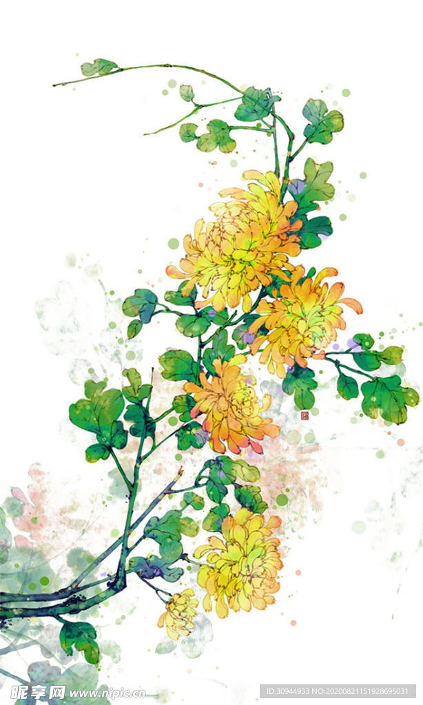 菊花装饰