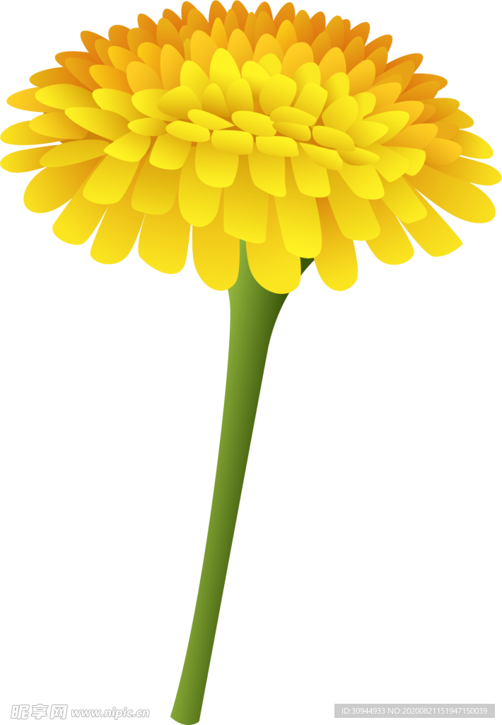 菊花装饰