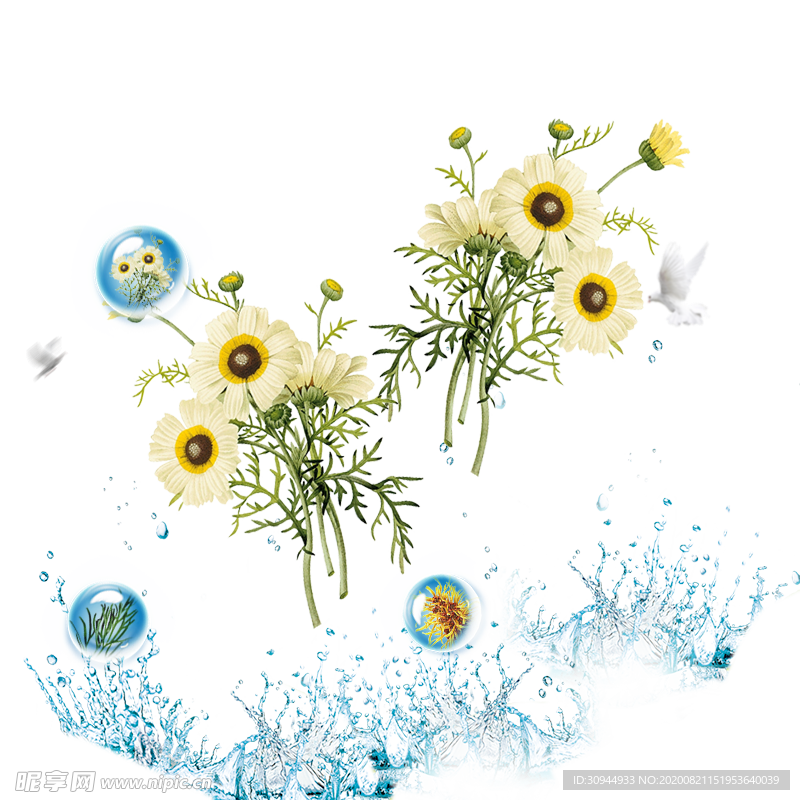 菊花装饰