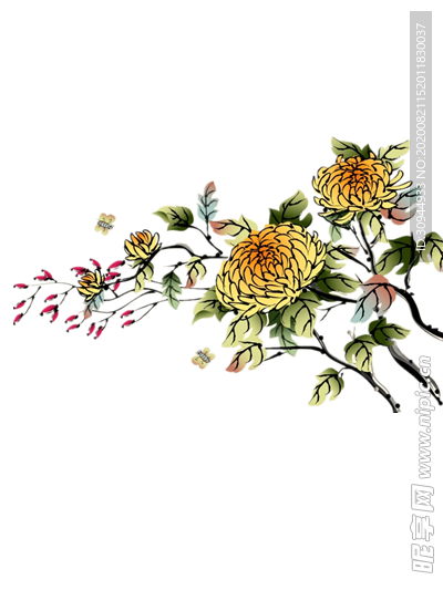 菊花装饰
