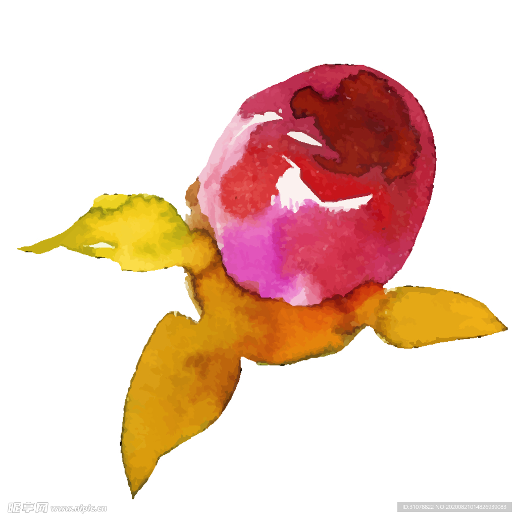 水彩花朵装饰图案